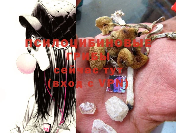 MESCALINE Новый Уренгой