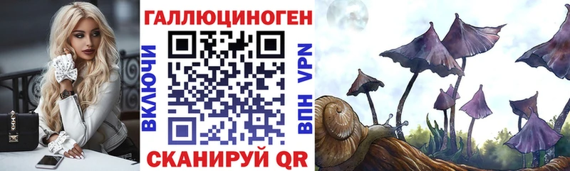 Псилоцибиновые грибы Magic Shrooms  Звенигород 