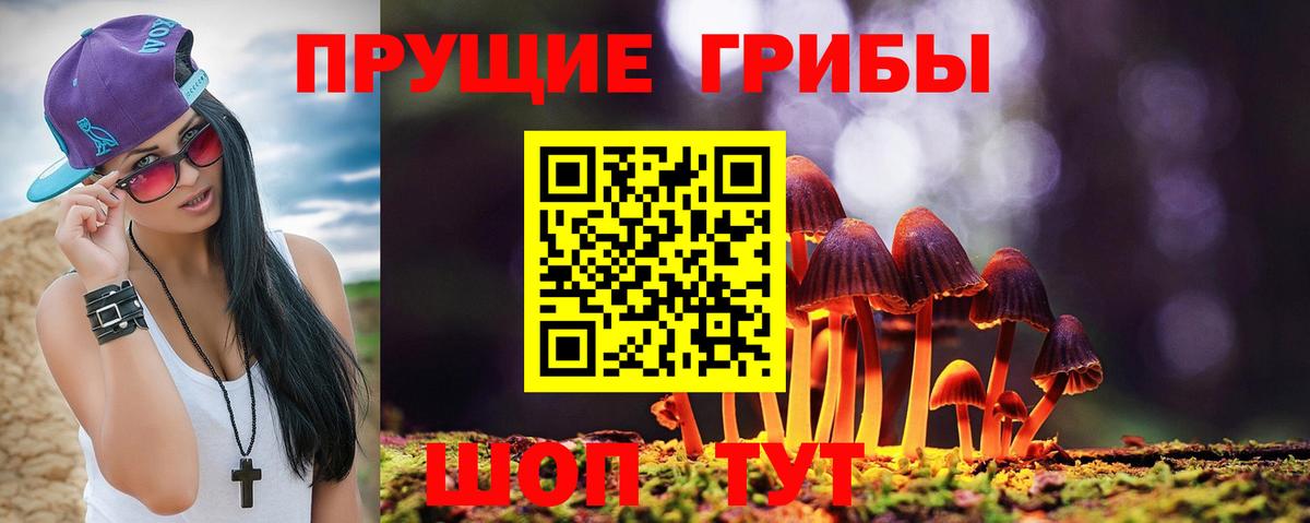 Галлюциногенные грибы мицелий Звенигород