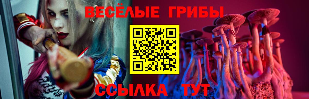 Галлюциногенные грибы GOLDEN TEACHER  Псилоцибиновые грибы Cubensis  Вход с VPN  Звенигород 